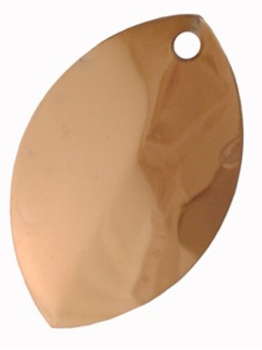 Wide Willowleaf Blades